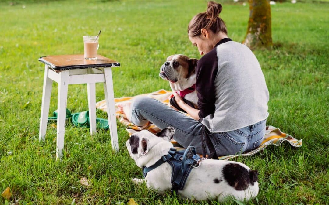 Top 10 Tips For Having Brunch With Your Dog!